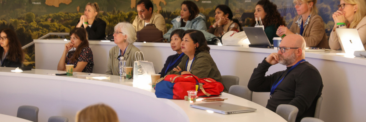 Seventeenth International Conference on Climate Change: Impacts & Responses, Florida International University, Miami, USA, (2025)