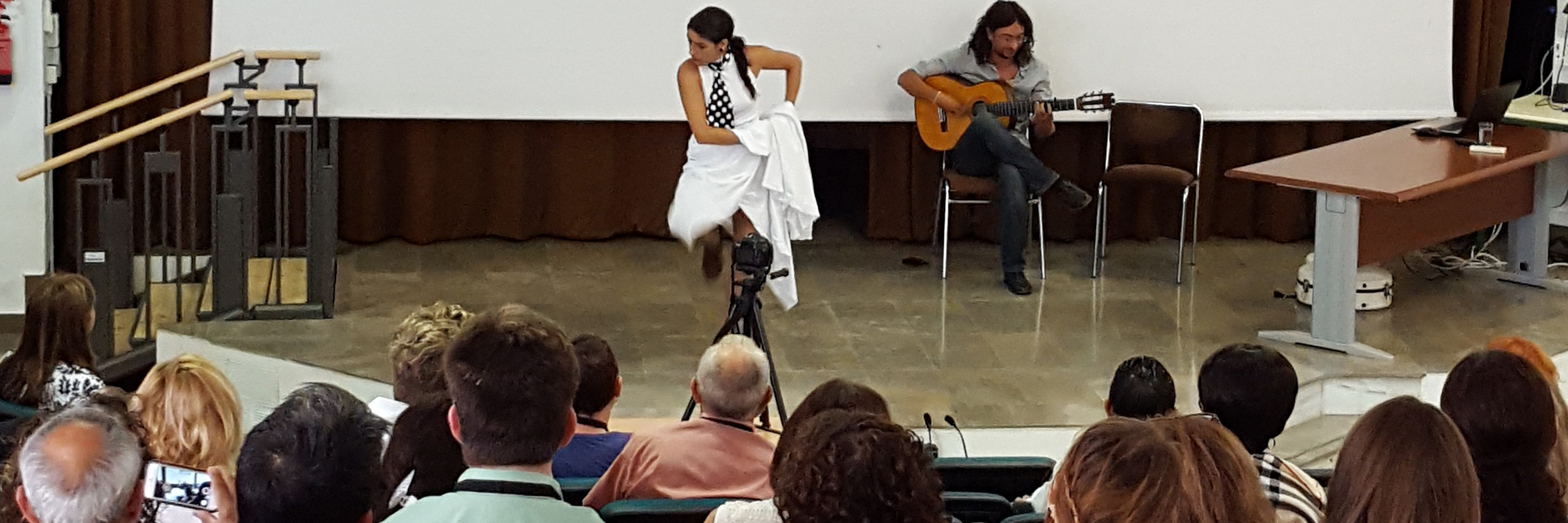 Sixteenth International Conference on Diversity in Organizations, Communities & Nations, The University of Granada, Granada, Spain (2016) Sixteenth International Conference on Diversity in Organizations, Communities & Nations, The University of Granada, Granada, Spain (2016)