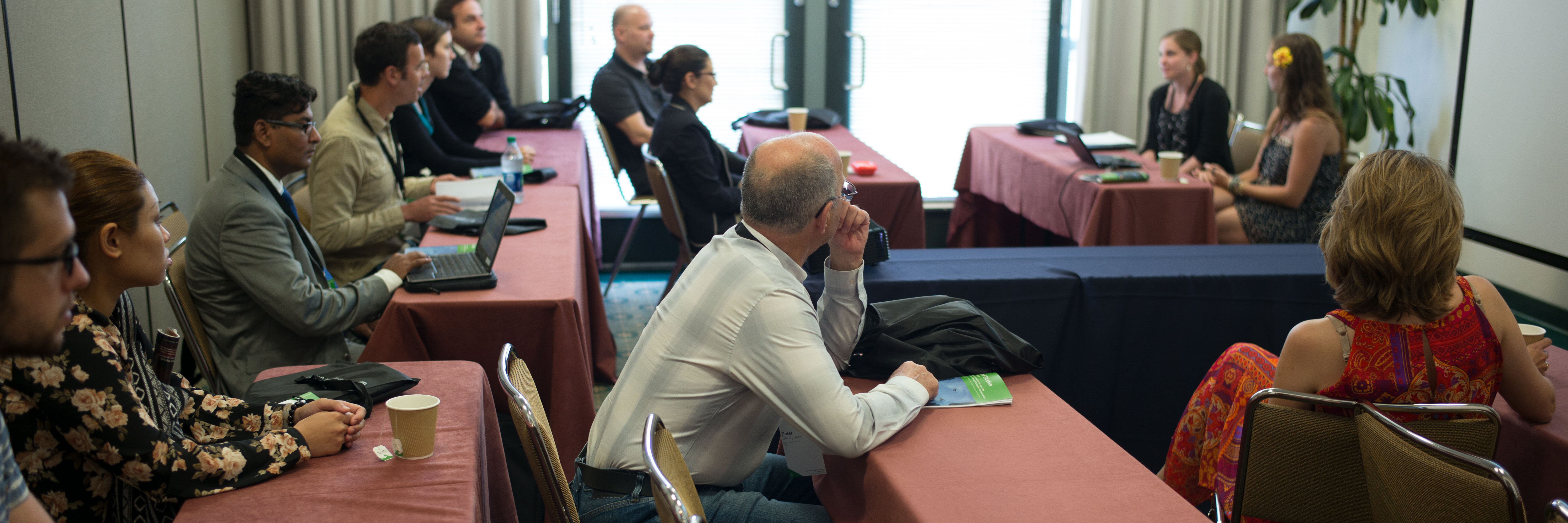 Ninth Global Studies Conference, University of California, Los Angeles, USA (2016)