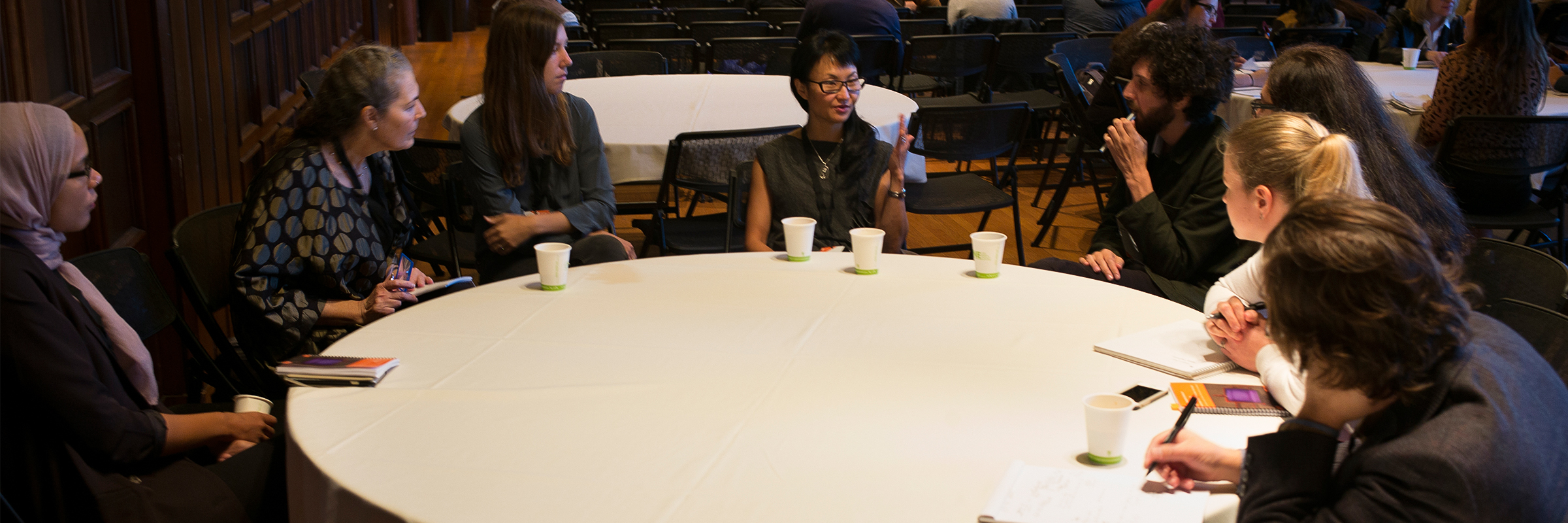 Wendy Chun, Sixth International Conference on The Image, University of California at Berkeley, USA (2105) Wendy Chun, Sixth International Conference on The Image, University of California at Berkeley, USA (2105)