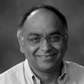 Fazal Rizvi