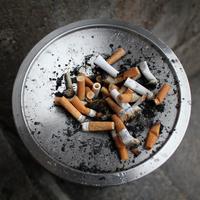 fake cigarette gum Bubble Gum Cigarettes – Bruce's Candy Kitchen fake cigarette gum Bubble Gum Cigarettes – Bruce's Candy Kitchen